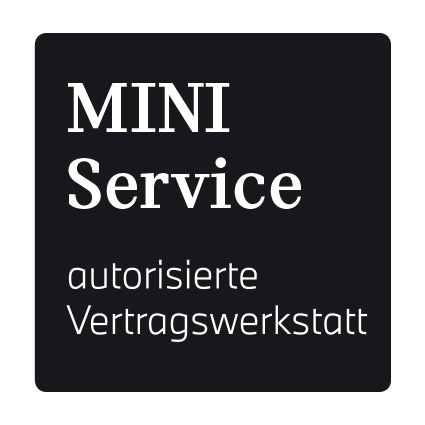 Logo Mini Service